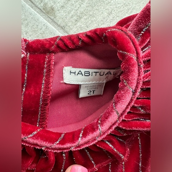 Habitual Red Velvet Dress - size 2T - Picture 4 of 7